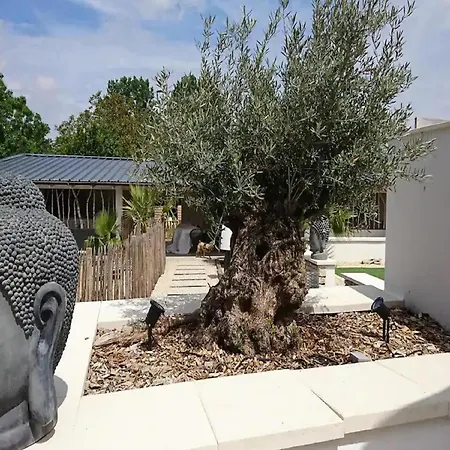 Magnificent In Nuaill D Aunis With Wellness Nuaille-d'Aunis